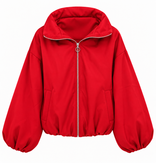 The Puffer jacket