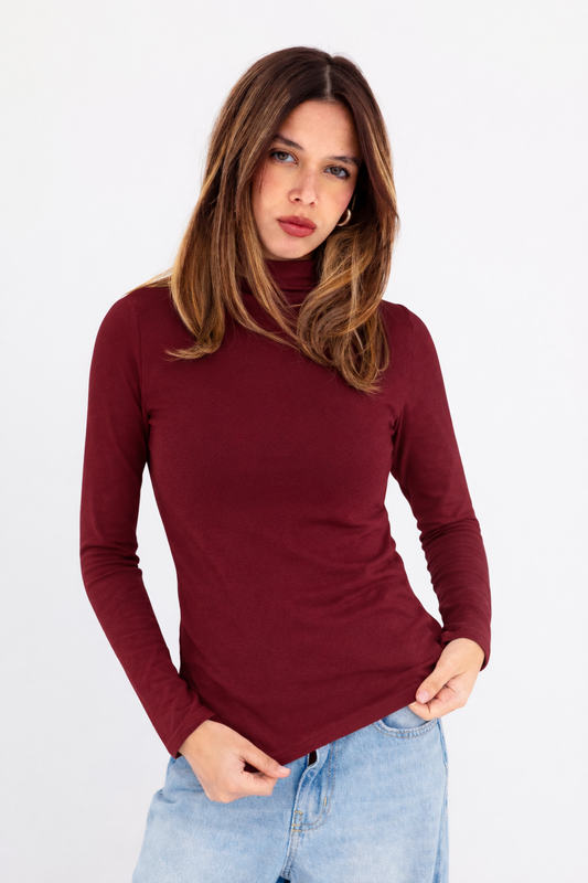 High Neck Basic Top Full Sleeve